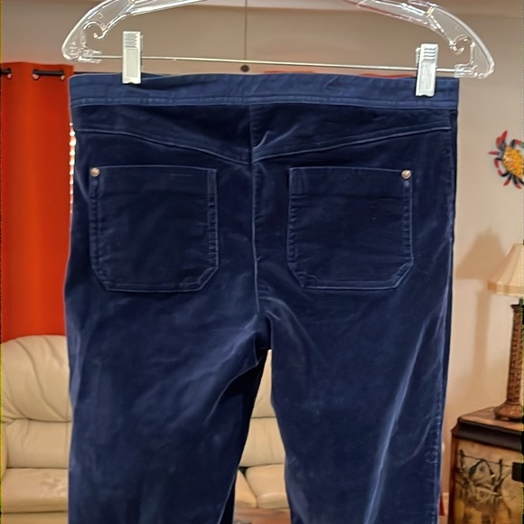 Anthropologie Leifsdottir Ankle Blue Velvet Plush Slims Pants Size 4 - Picture 6 of 8